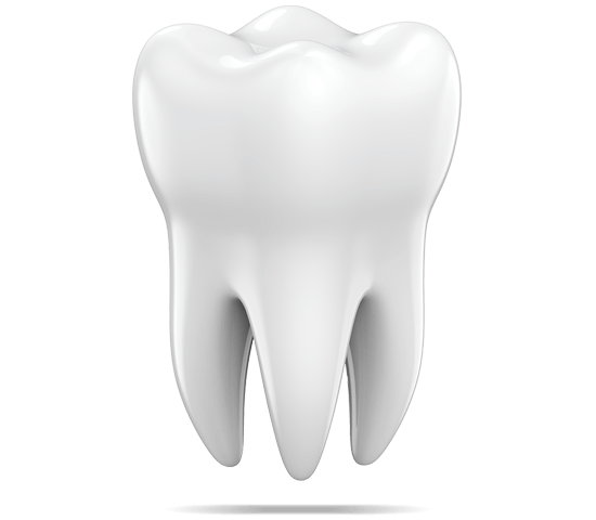 tooth graphic